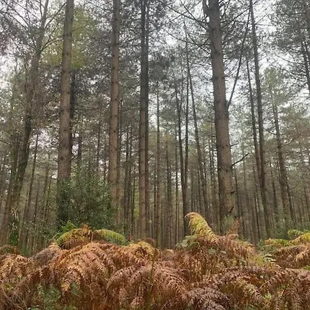 Maison Indiv 2 Et Coin Salon Holiday home Le Vaudreuil